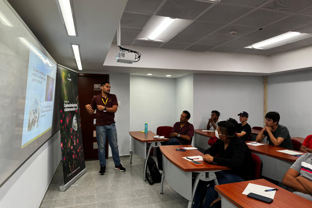 Conversión y uso final