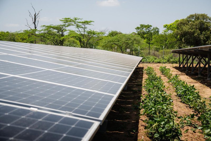 Gobierno nacional convierte las regalías del carbón en energías limpias-3