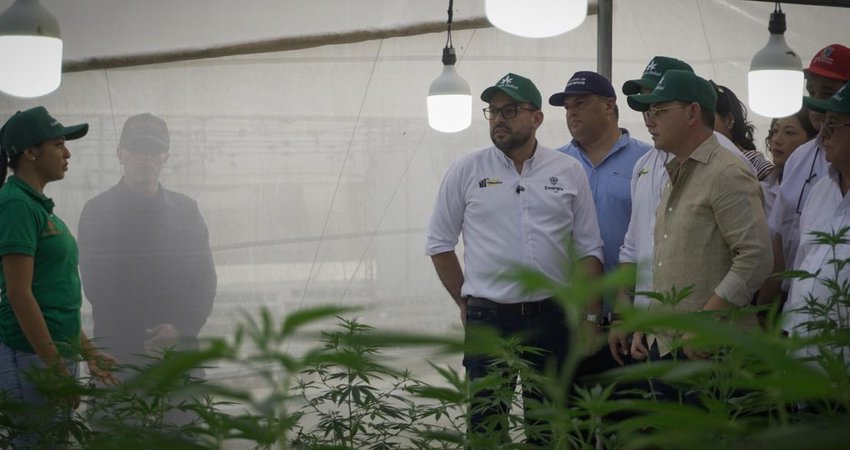 MinEnergía impulsa la descarbonización del agro con la primera granja solar para cannabis medicinal en el Caribe