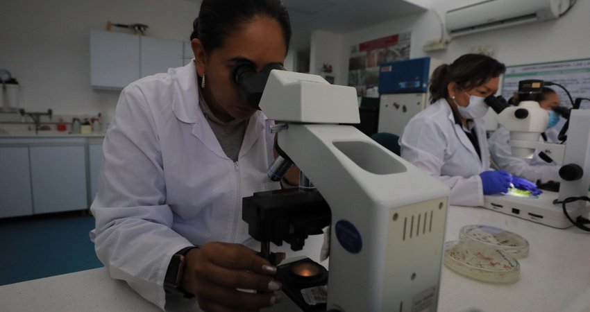 OIEA abre convocatoria de becas sector nuclear-1.jpg