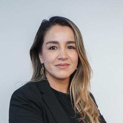 DIRECCIÓN DE MINERÍA EMPRESARIAL